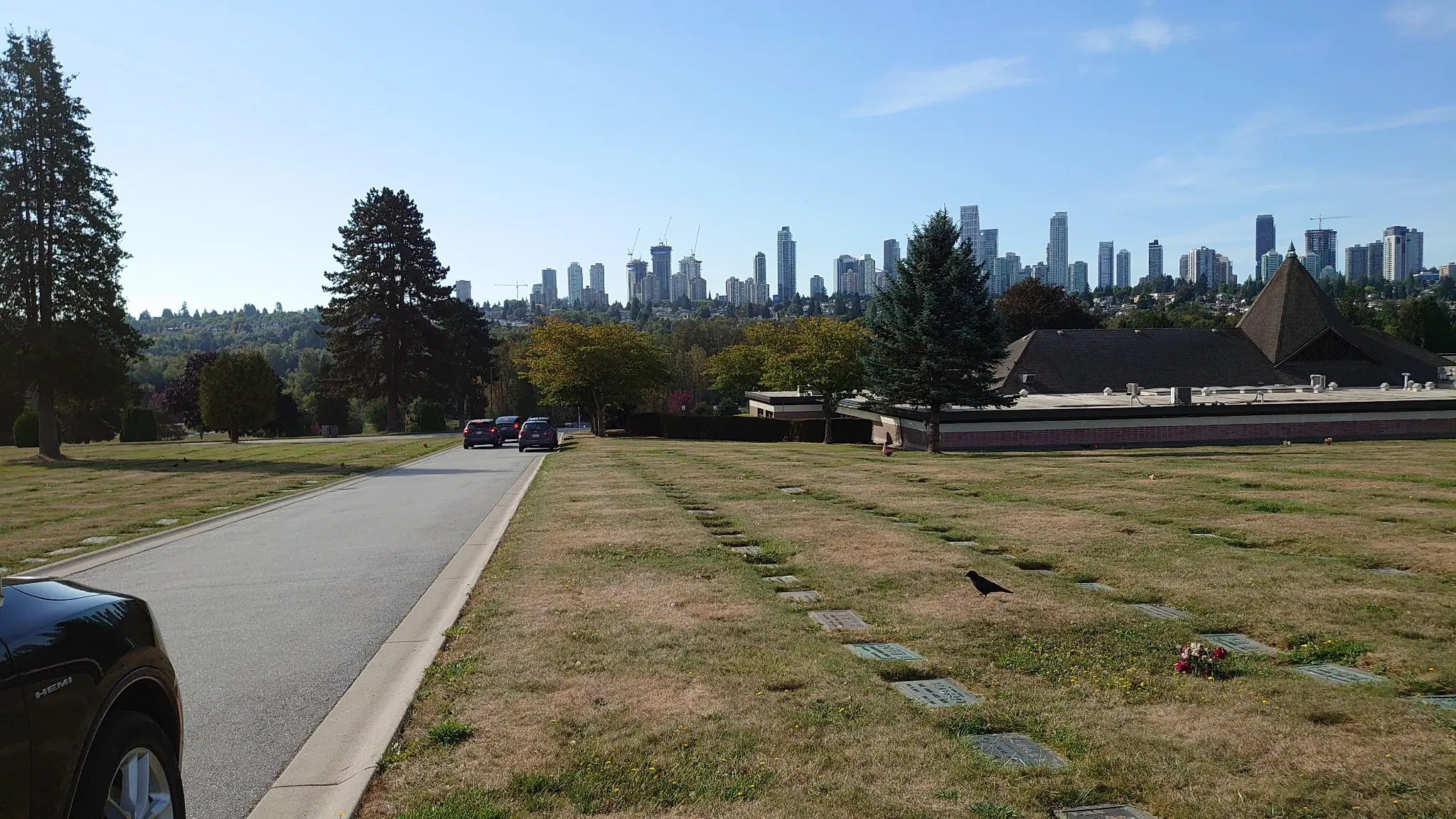 Ocean View Burial Park 草地與本拿比天際線